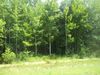 0 Flowood Dr photo